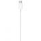 Apple USB-C to Lightning Cable (1 m)